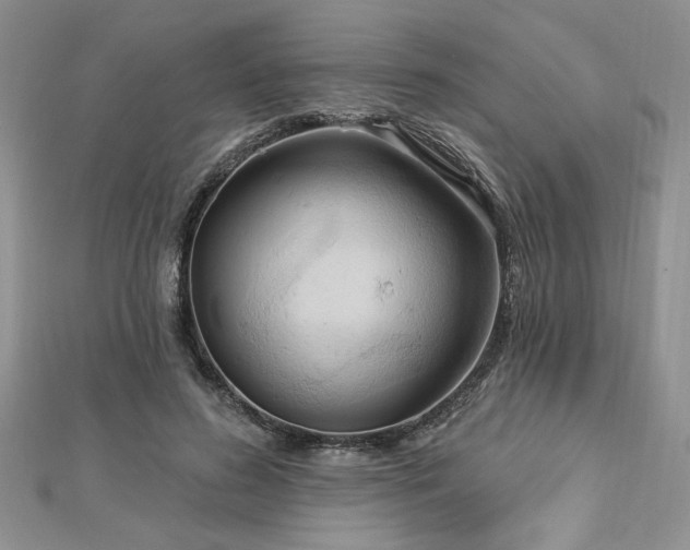 X0000113130596200909041149
