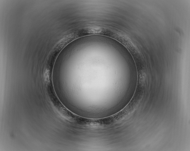X0000113130598200909041149