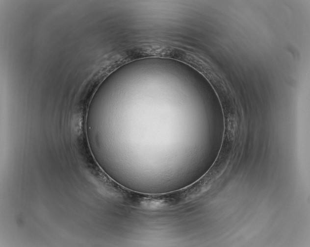 X0000113130602200909041149