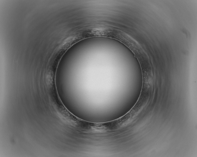 X0000113130603200909041149