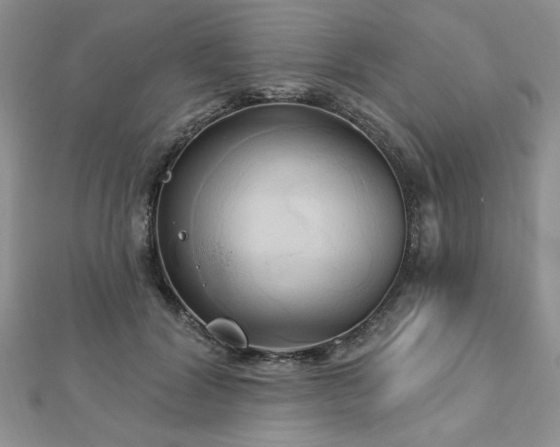 X0000113130604200909041149