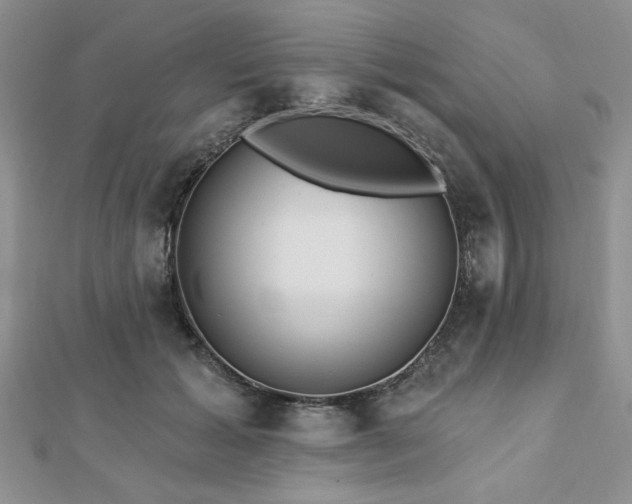 X0000113130605200909041149