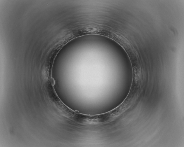 X0000113130606200909041149