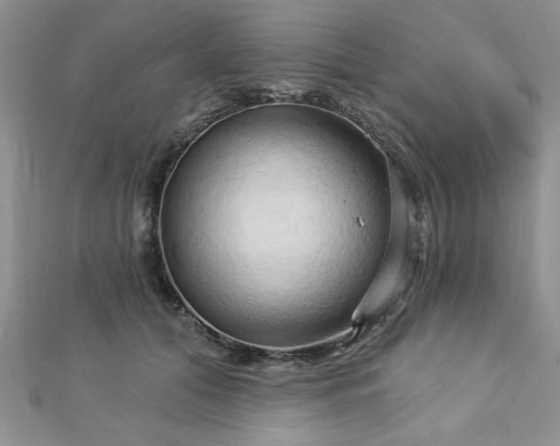 X0000113130608200909041149