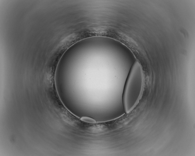 X0000113130609200909041149