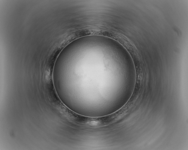 X0000113130610200909041149