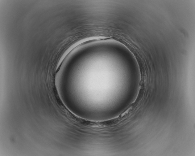 X0000113130611200909041149