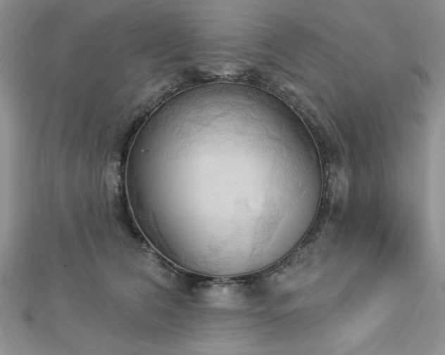 X0000113130612200909041149