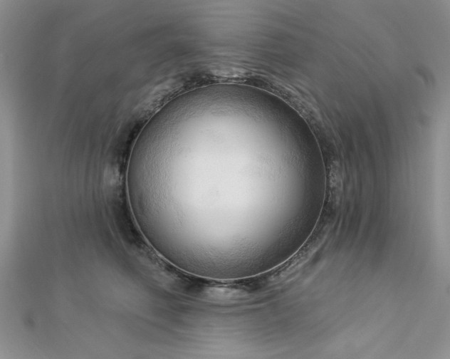 X0000113130614200909041149