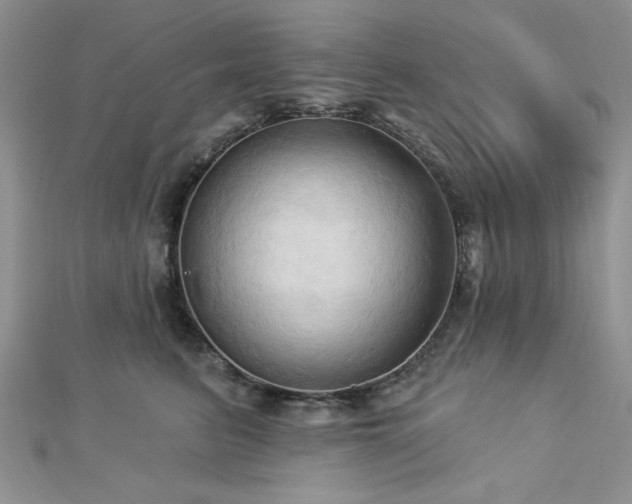 X0000113130615200909041149