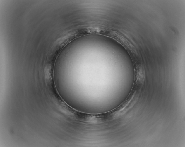 X0000113130616200909041149
