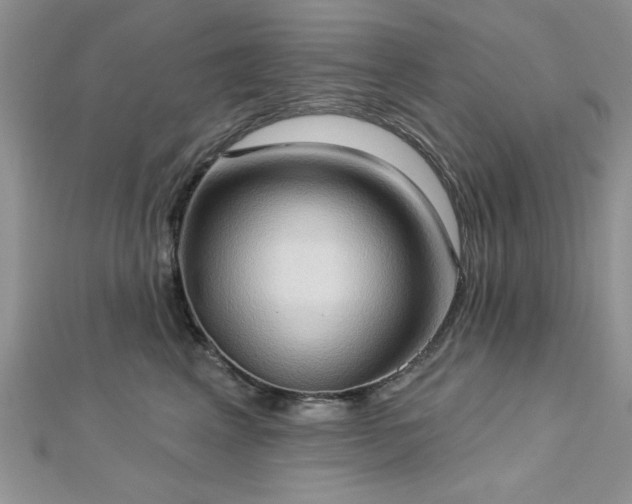 X0000113130617200909041149