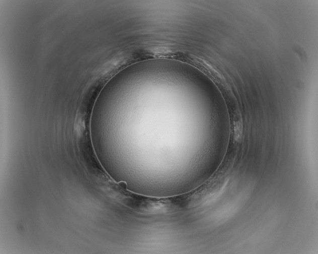 X0000113130618200909041148
