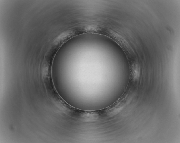 X0000113130619200909041148