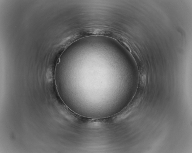 X0000113130620200909041148