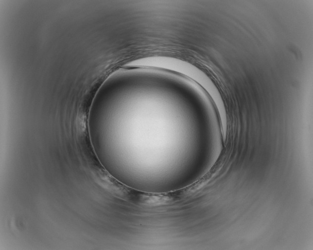 X0000113130621200909041148
