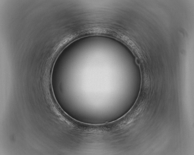 X0000113130625200909041148