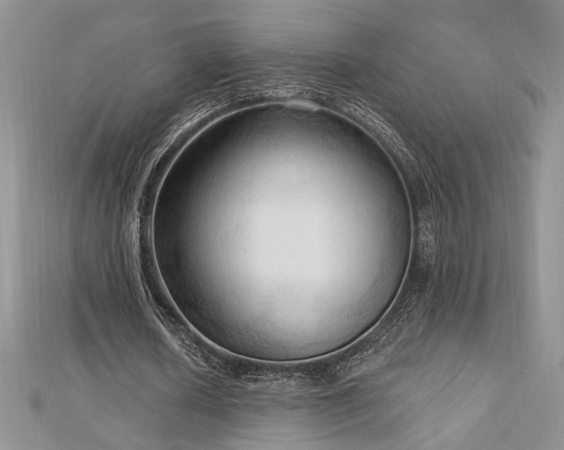 X0000113130626200909041148