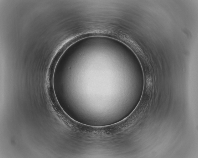 X0000113130628200909041148