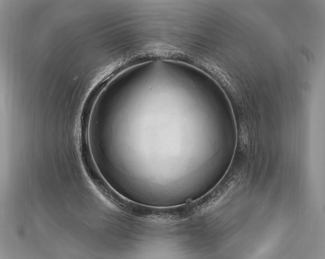 X0000113130630200909041148