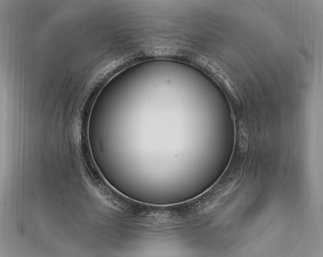 X0000113130631200909041148