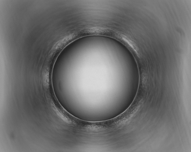 X0000113130633200909041148
