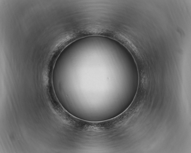 X0000113130635200909041148