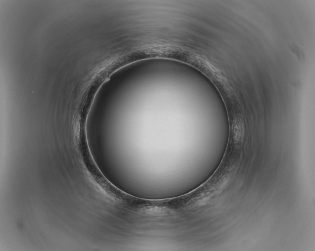 X0000113130637200909041148