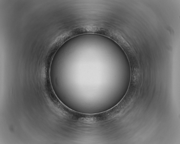 X0000113130639200909041148