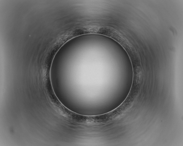 X0000113130641200909041148