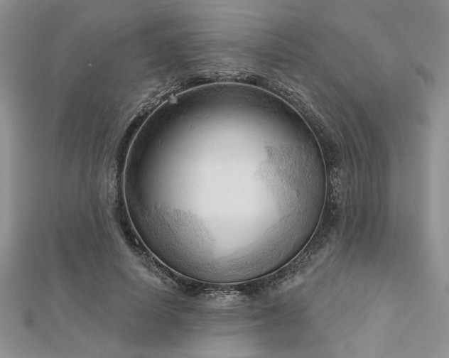 X0000113130642200909041148