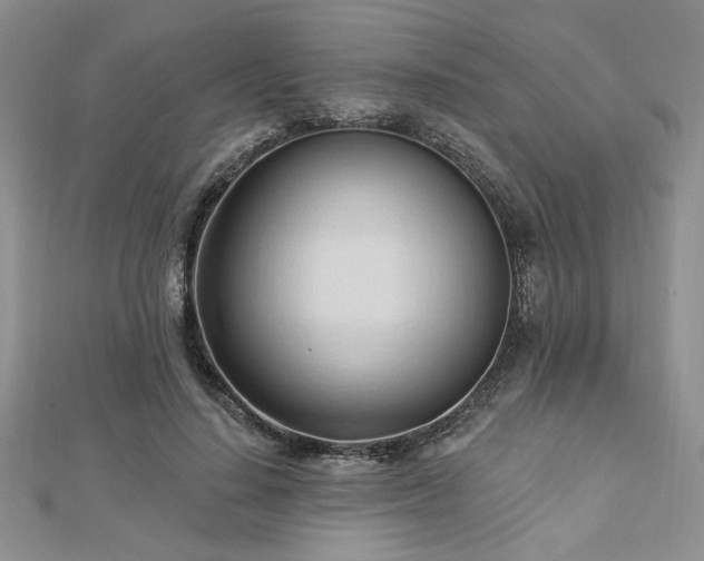 X0000113130644200909041148