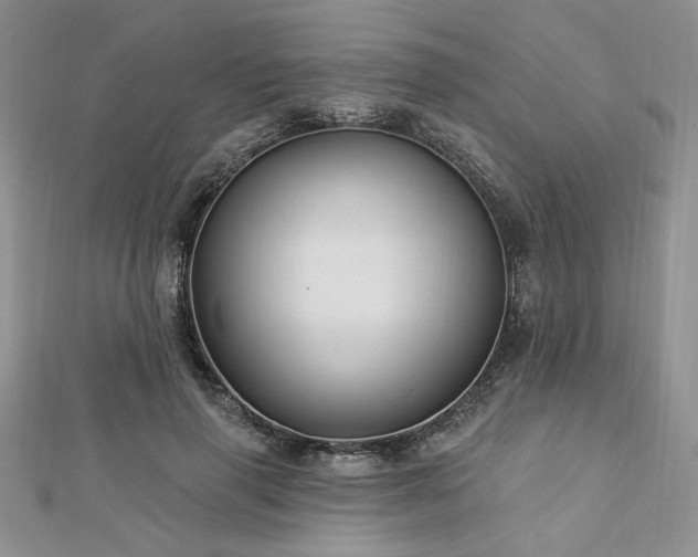 X0000113130645200909041148