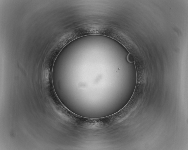 X0000113130646200909041148