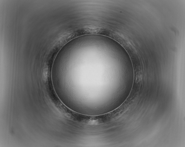 X0000113130647200909041148