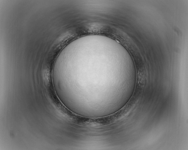 X0000113130648200909041148