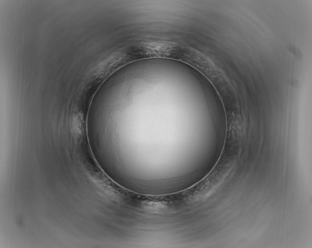 X0000113130649200909041148