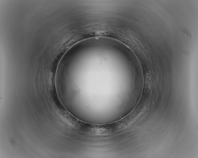 X0000113130650200909041148