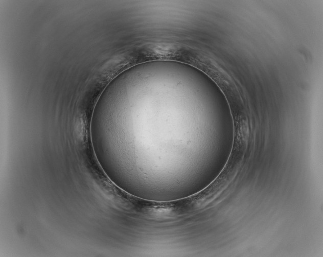 X0000113130651200909041148