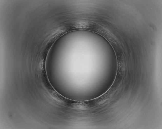 X0000113130652200909041148
