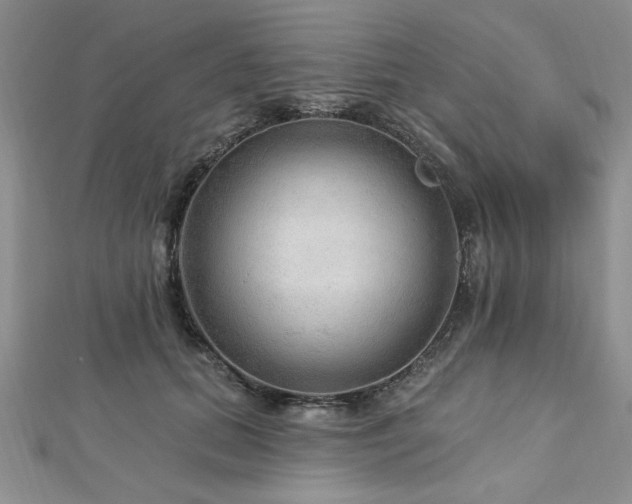 X0000113130655200909041148