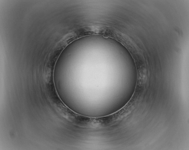 X0000113130656200909041148