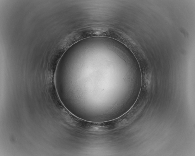 X0000113130657200909041148
