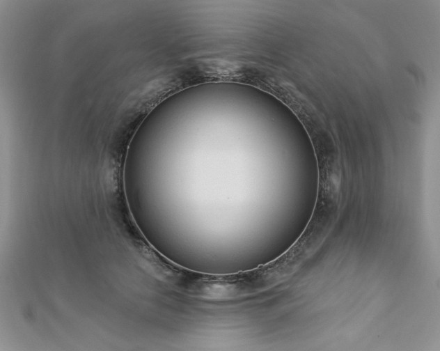 X0000113130658200909041148