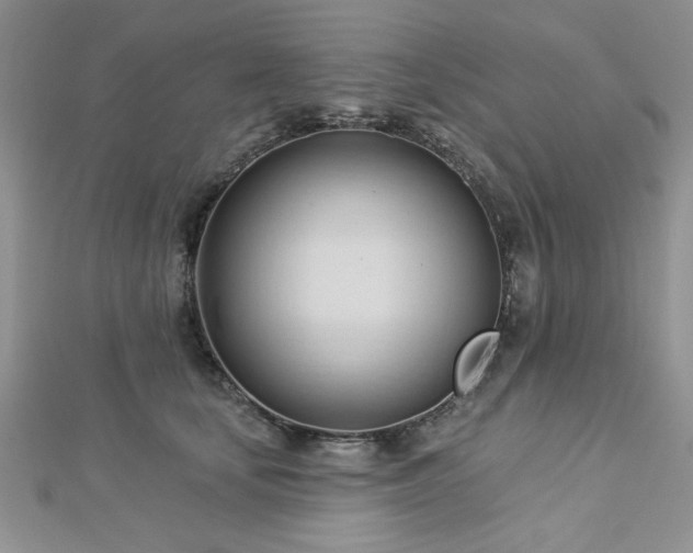 X0000113130659200909041148