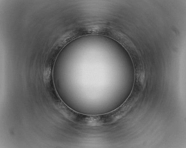 X0000113130660200909041148