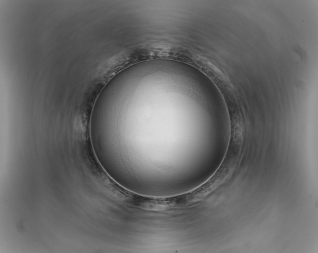 X0000113130661200909041148