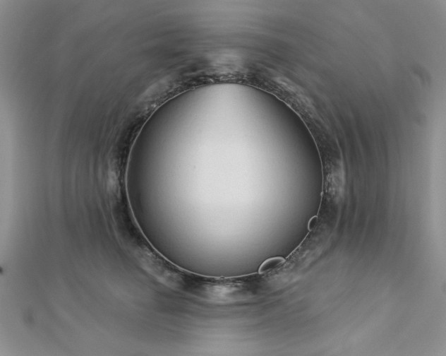 X0000113130662200909041148