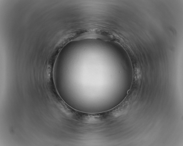 X0000113130664200909041148