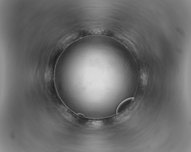 X0000113130665200909041148